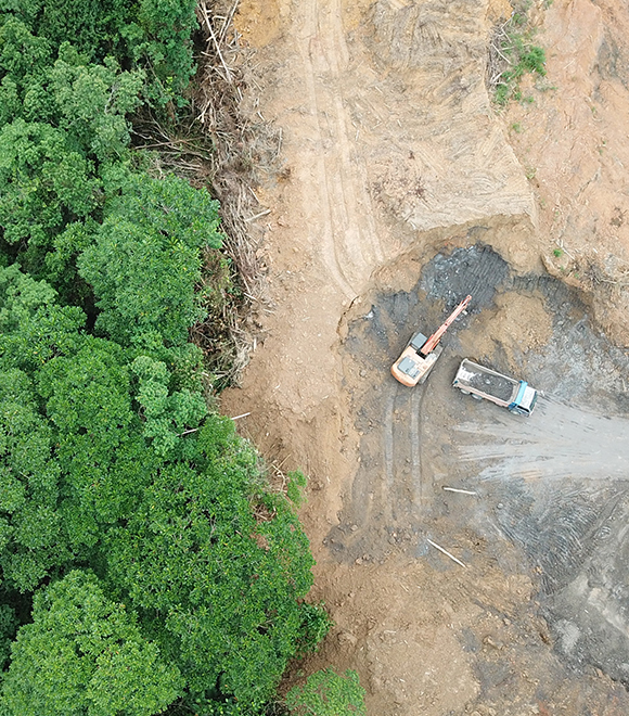 Uncovering the Mystery of Green Coal: What You Need to Know!